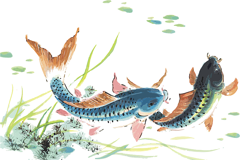 金鱼鲤鱼插图合集中国风水墨画元素