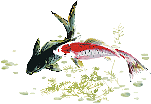 金鱼鲤鱼插图合集中国风水墨画元素