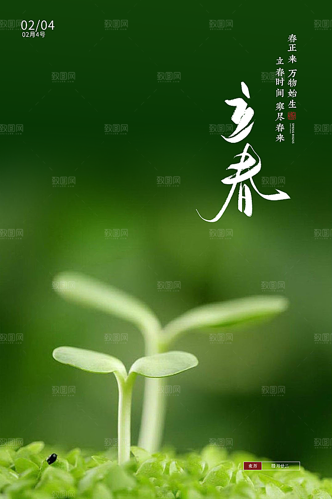 立春实景节气海报模板