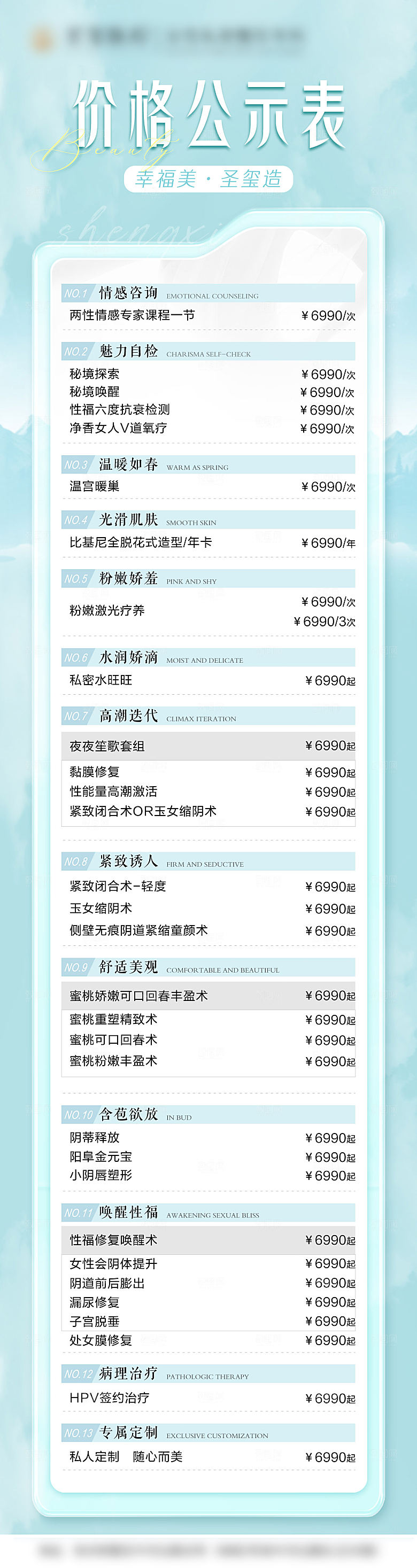 高端医美项目价格表海报