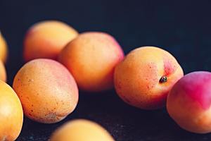 热带水果芒果摄影素材