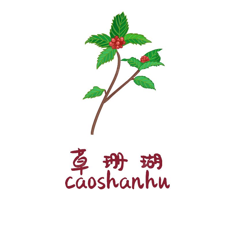 中草药材植物插图素材
