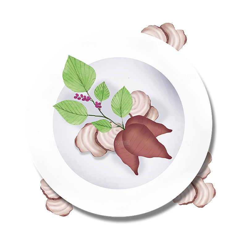 中草药材植物插图素材元素
