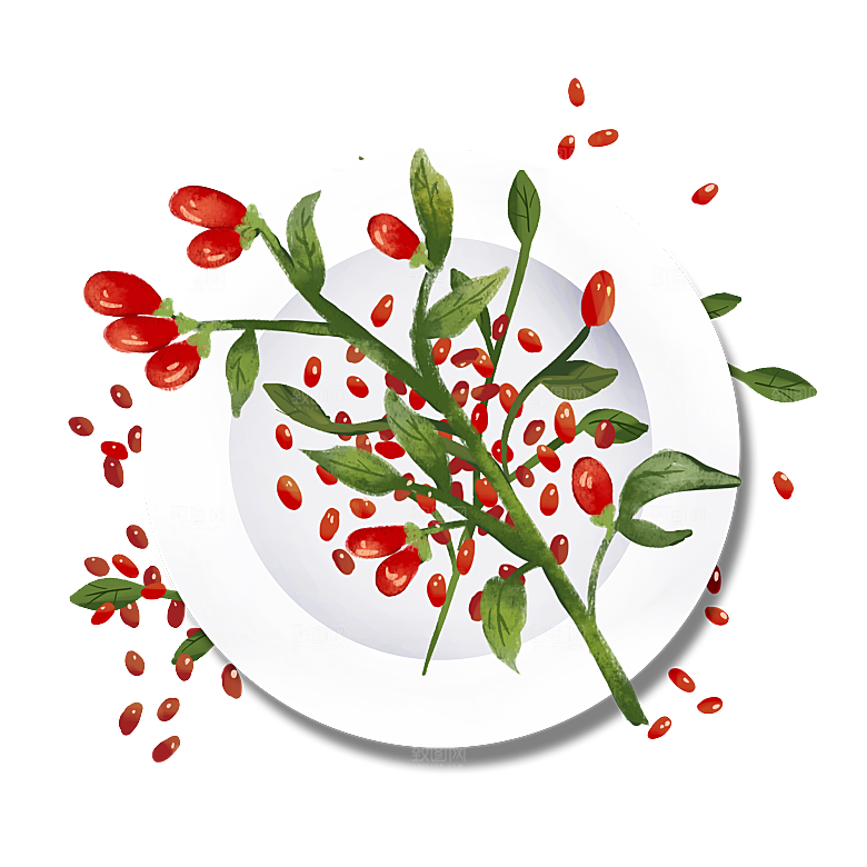 中草药材植物插图素材元素
