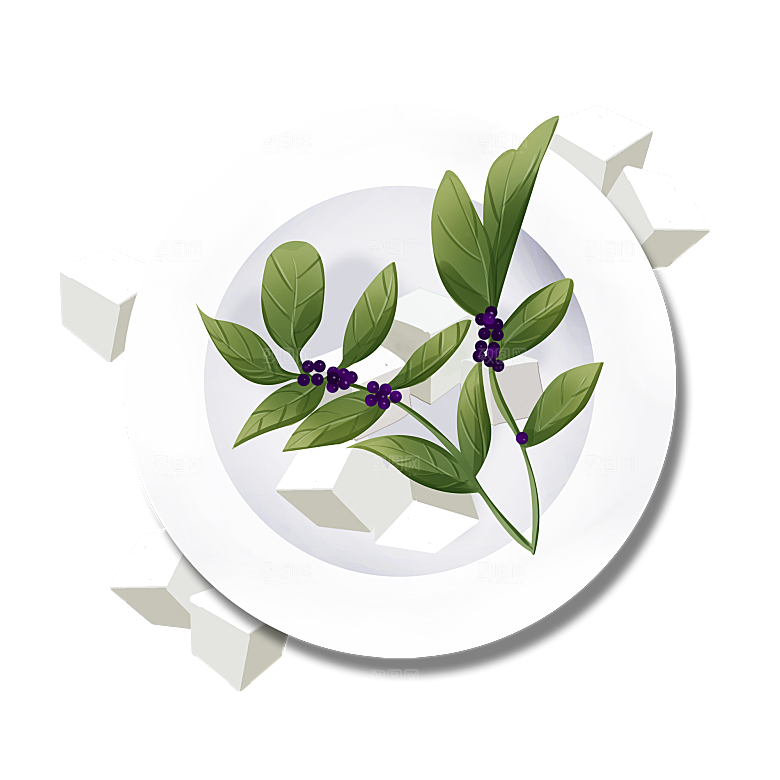 中草药材植物插图素材元素