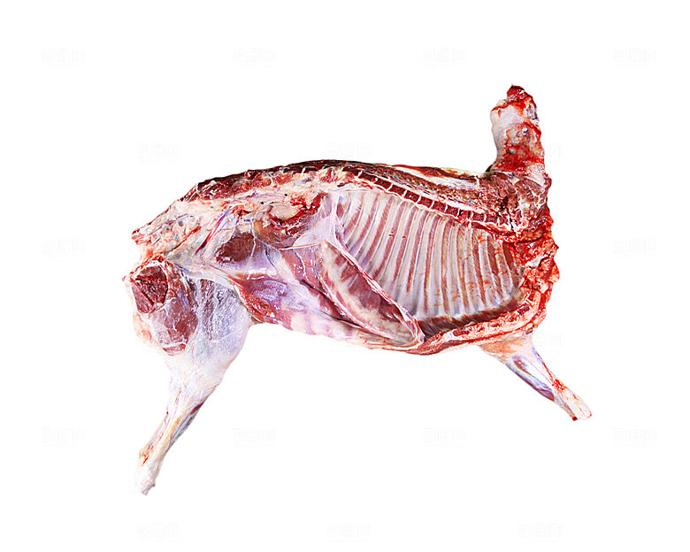 生鲜肉类实拍素材猪肉羊肉牛排鸡蛋图片