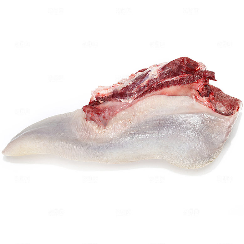 生鲜肉类实拍素材猪肉羊肉牛排鸡蛋图片