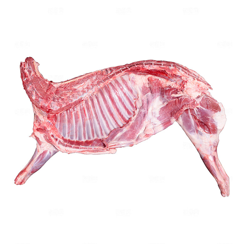 生鲜肉类实拍素材猪肉羊肉牛排鸡蛋