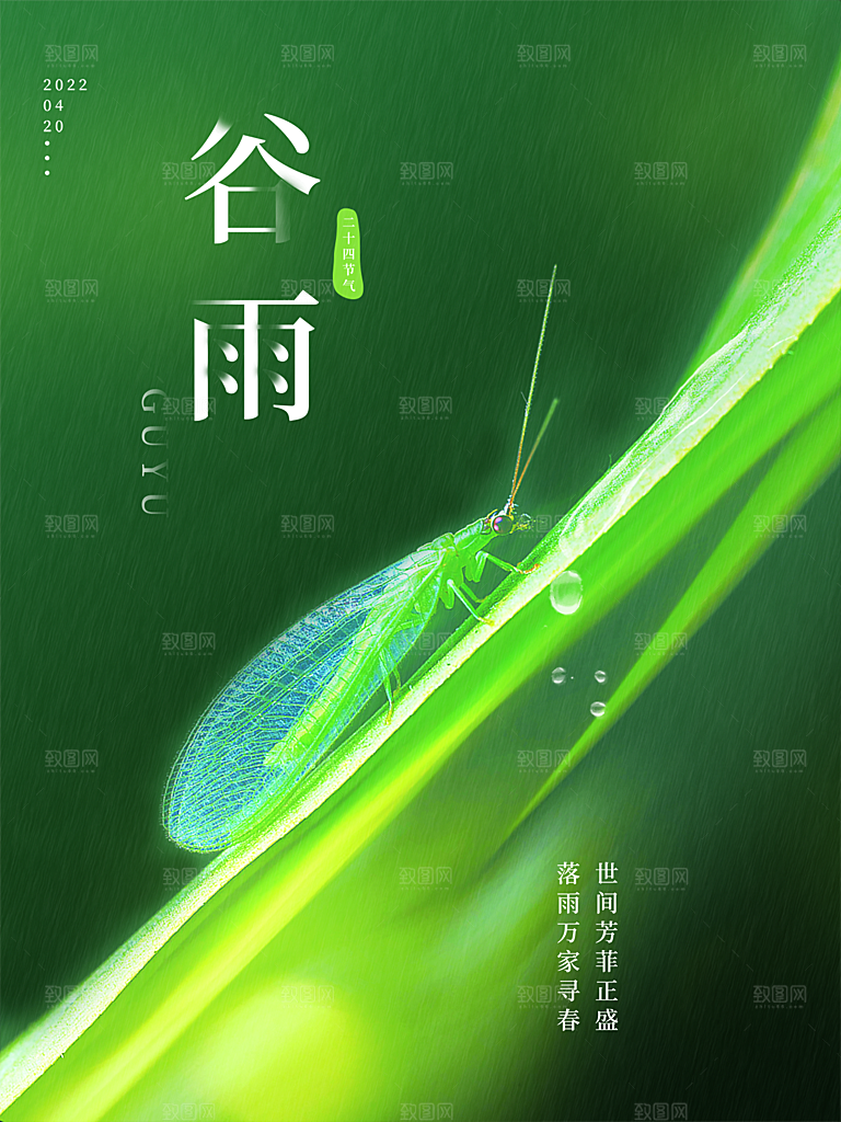 谷雨节气简约大气海报