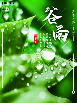 谷雨节气简约大气海报