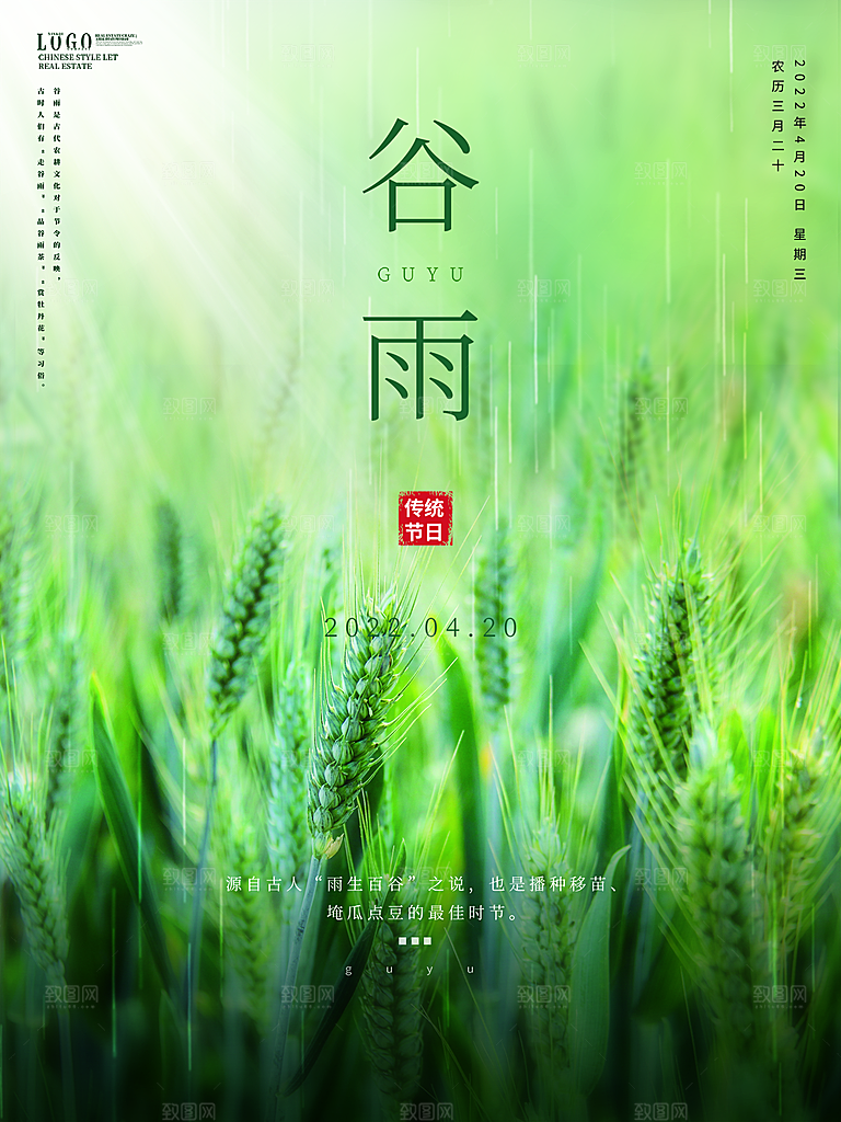 谷雨节气简约大气海报