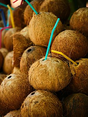海南青椰子摄影素材