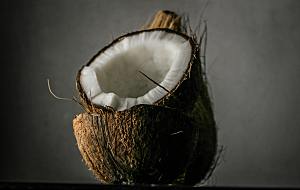 海南椰子创意摄影图