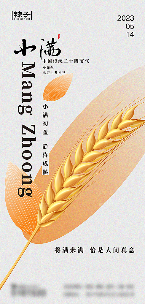 小满海报竖版简约海报设计