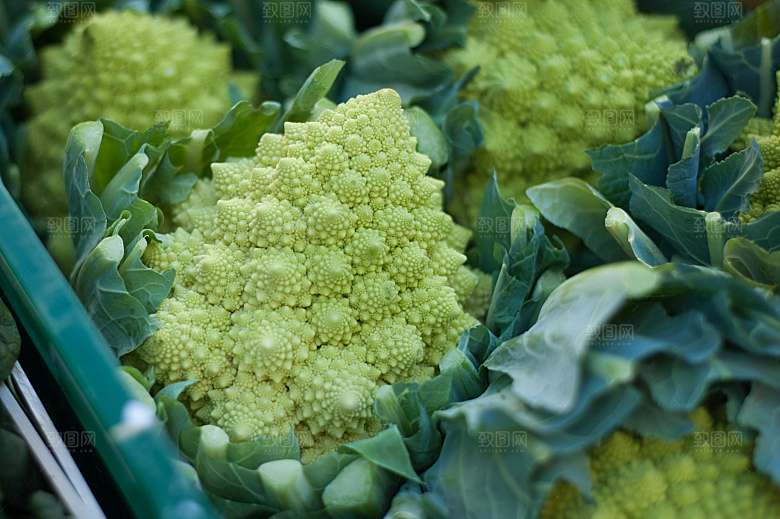 西兰花花椰菜摄影图