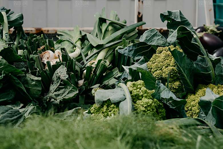 绿色植物蔬菜西兰花摄影图