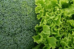 绿色植物蔬菜西兰花摄影图