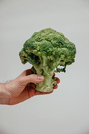 绿色植物蔬菜西兰花摄影图