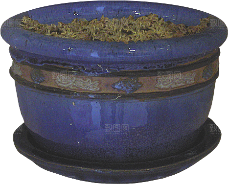 紫色兰花花卉png素材