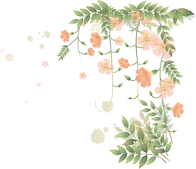 唯美手绘水彩花环花卉婚礼png装饰