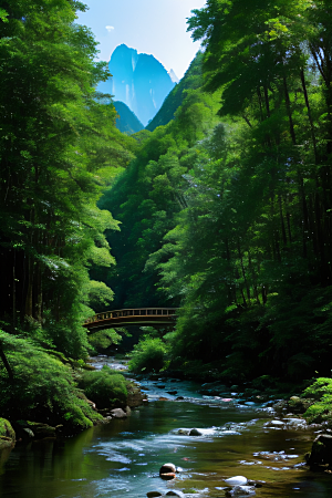 绿意盎然树木繁茂绿意盎然的山水风景