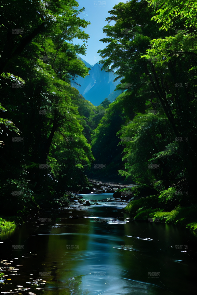 壮丽的自然景观高山深林和流水的完美融合