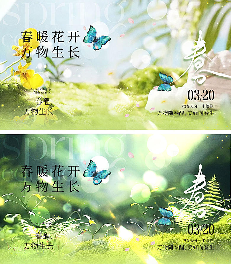 春分节气海报20