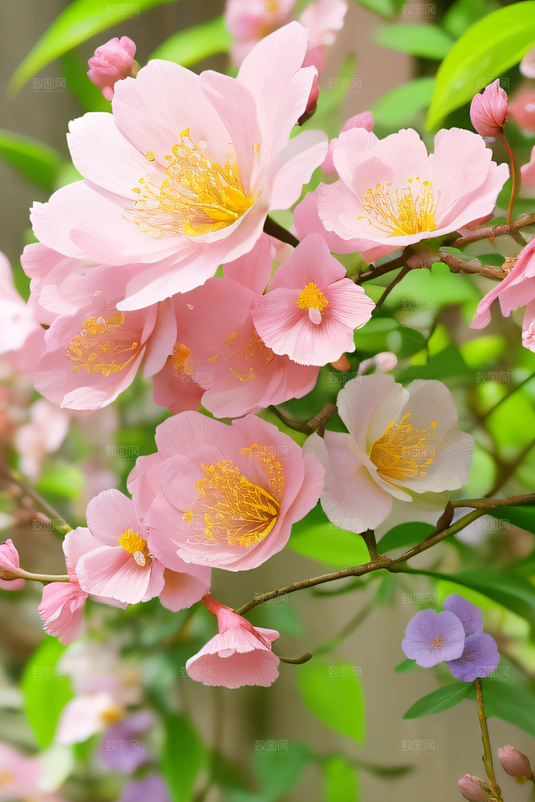 花之舞曲艺术家再现花园之美