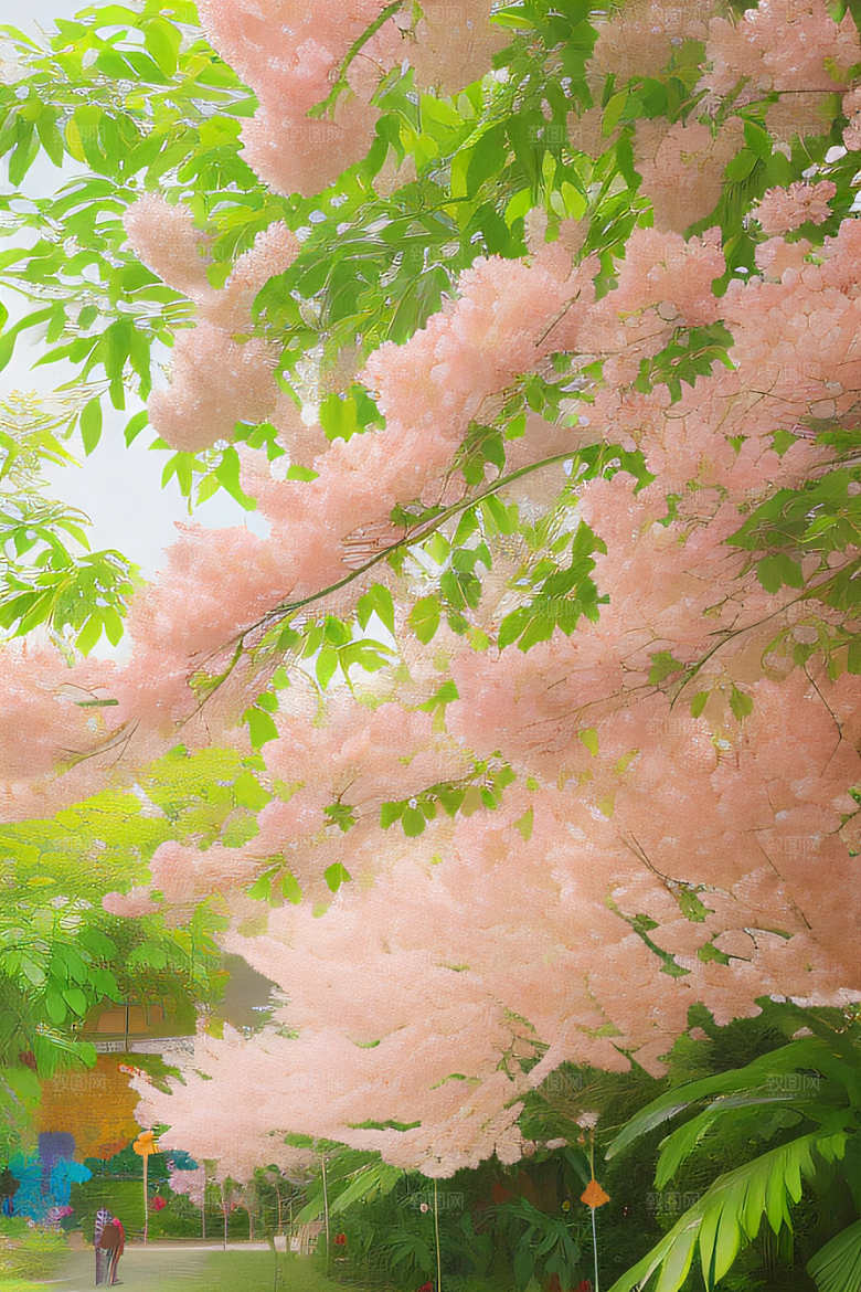 花海绚烂色彩斑斓自然和谐