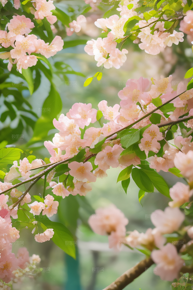 花之舞曲艺术家再现花园之美