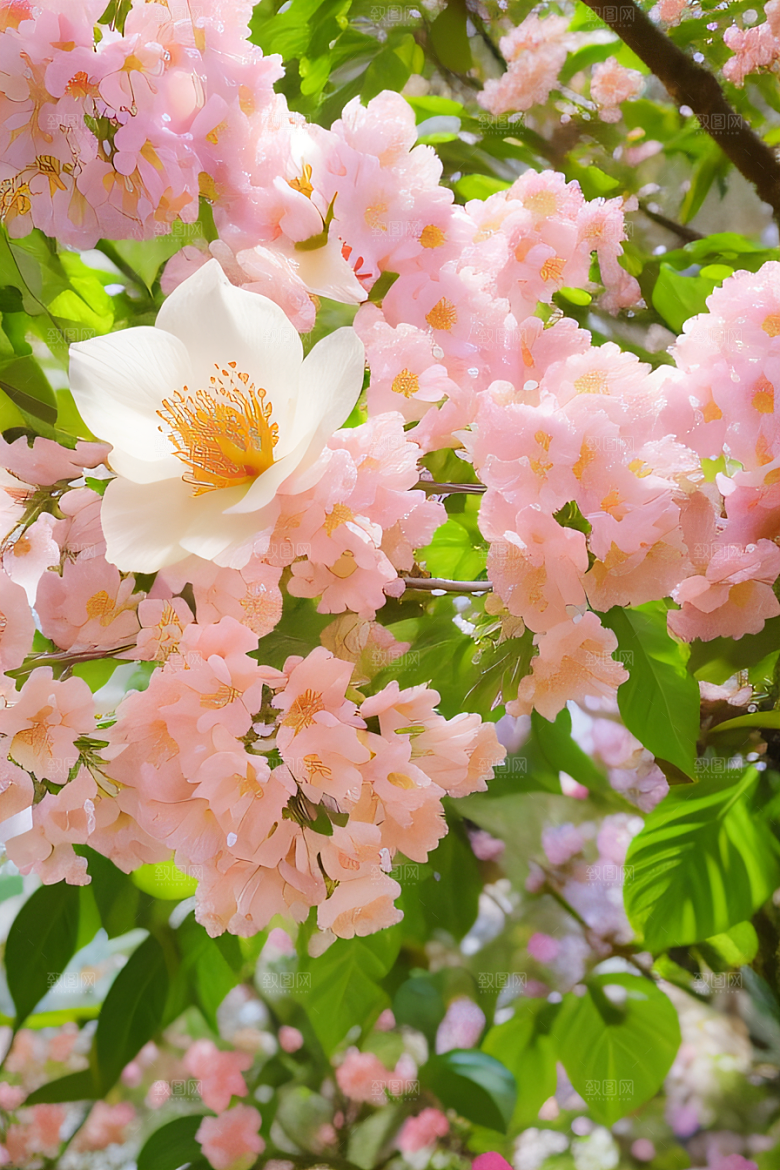 花之舞曲艺术家再现花园之美