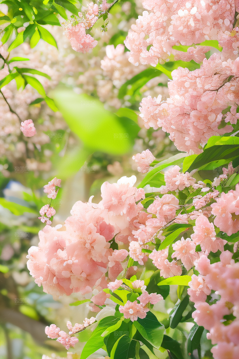 花园之美绚丽花朵与和谐自然