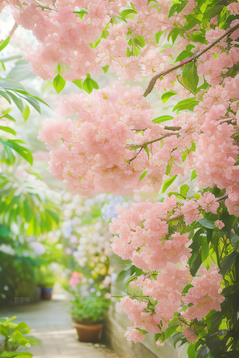 花园之美绚丽花朵与和谐自然
