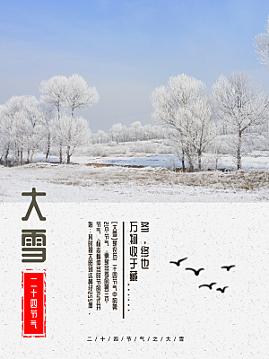 时尚大雪节气宣传海报