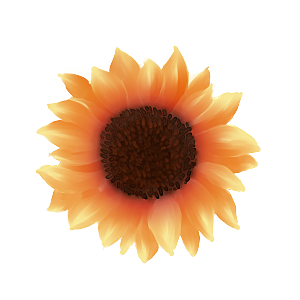 可爱卡通手绘向日葵太阳花花朵花卉素材