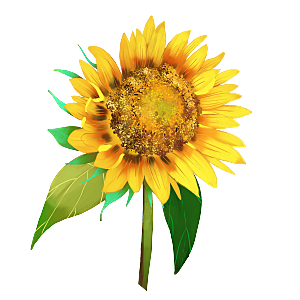 可爱卡通手绘向日葵太阳花花朵花卉素材元素