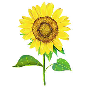 可爱卡通手绘向日葵太阳花花朵花卉素材元素