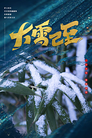 高级大雪节气宣传海报