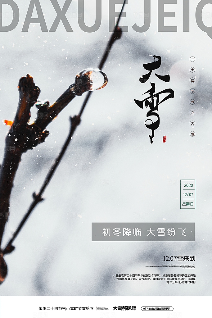 大气大雪节气宣传海报