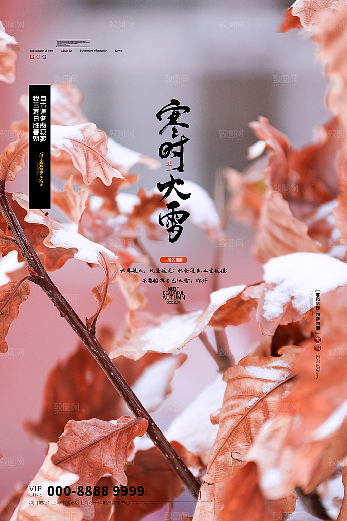 大气大雪节气宣传海报