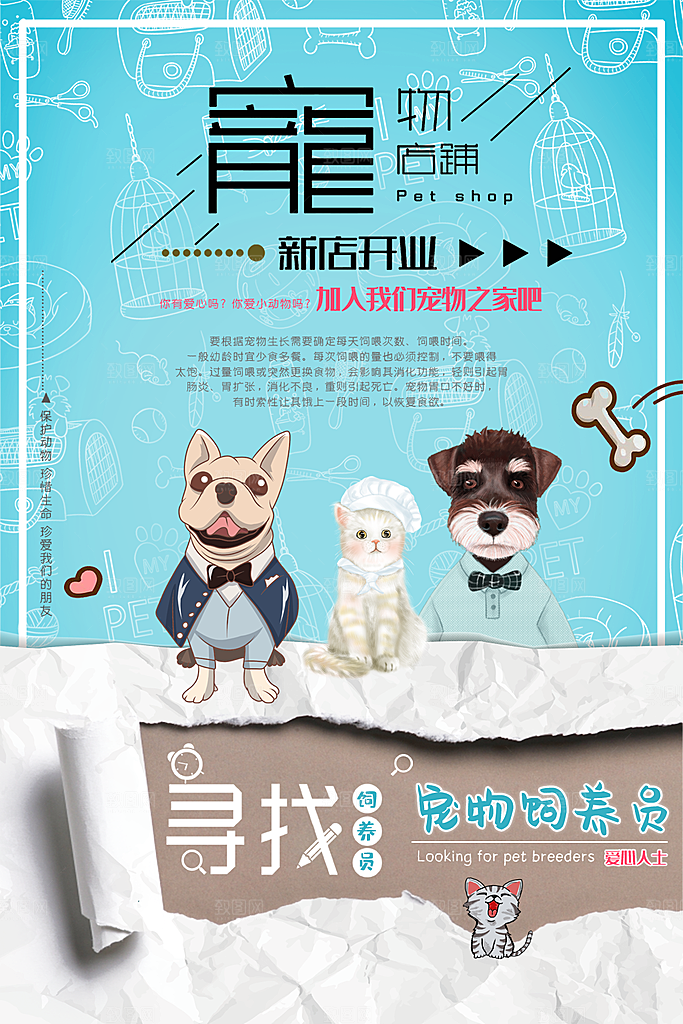 宠物店海报宣传招聘设计单页素材