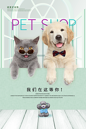 宠物店海报宣传招聘设计单页传单