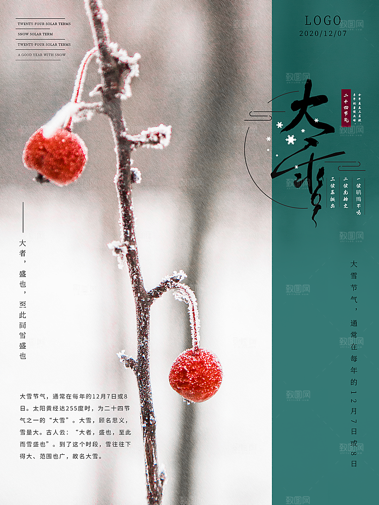 酷炫大雪节气宣传海报