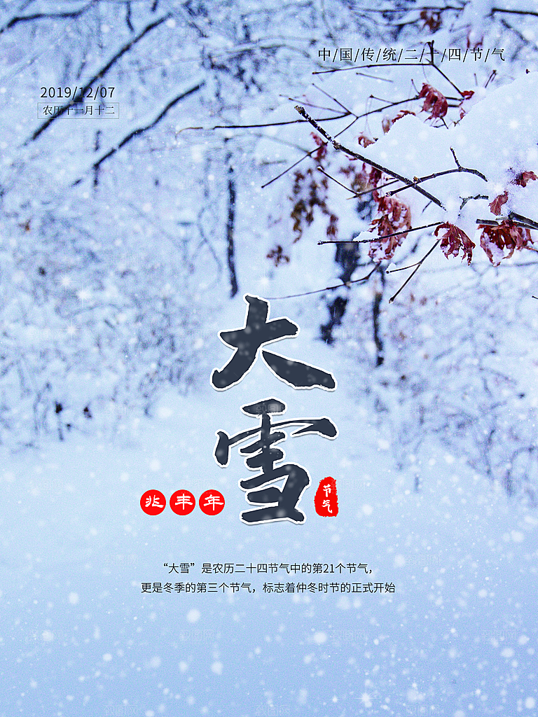 酷炫大雪节气宣传海报
