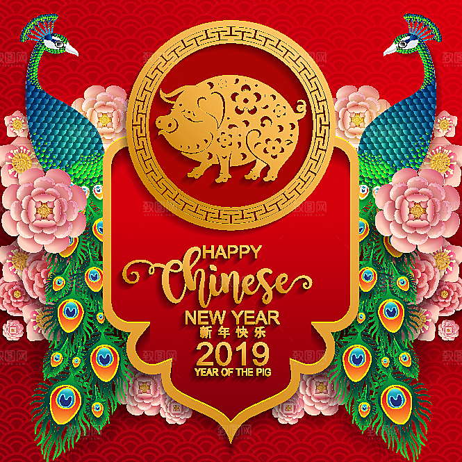 红色牡丹花鲜花背景设计