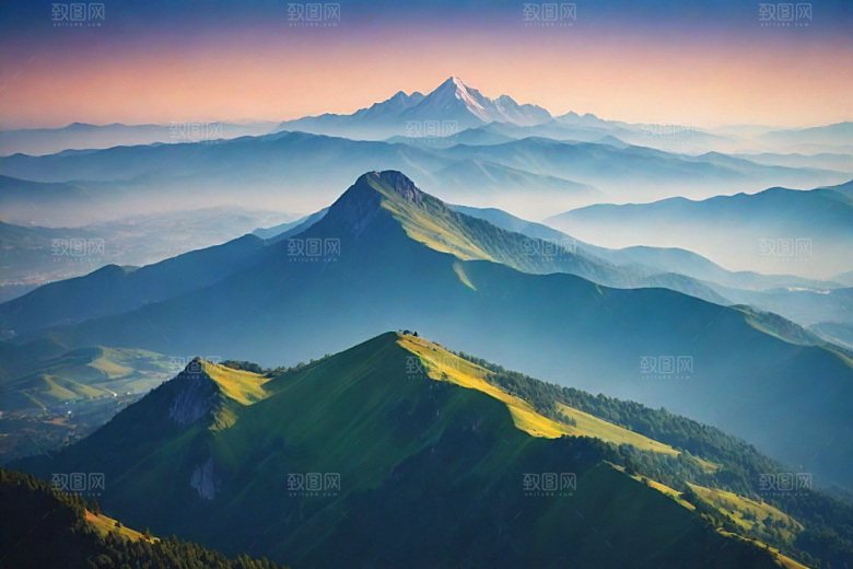 森林花草山顶自然风光