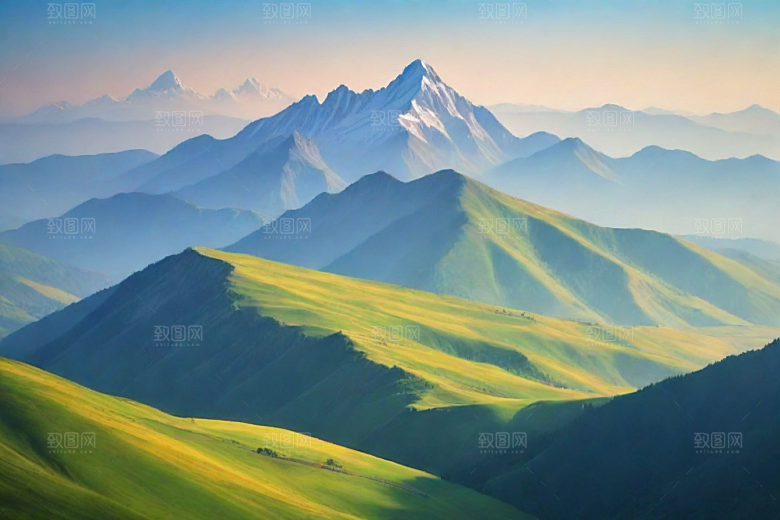 森林花草山顶自然风光