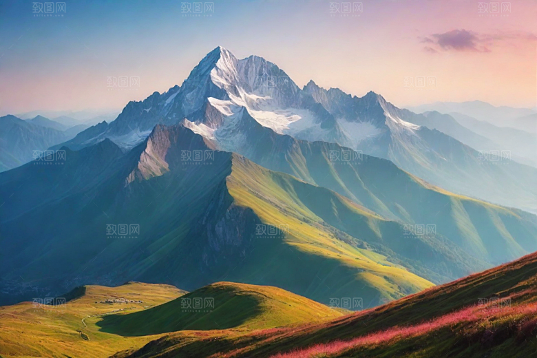 森林花草山顶自然风光