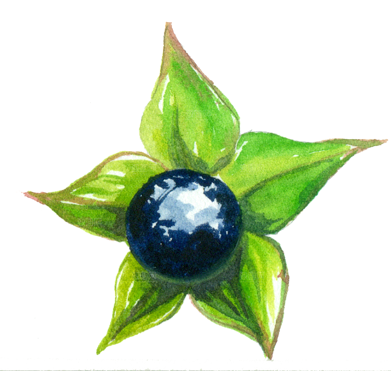 唯美小清新花卉树叶动物免扣元素