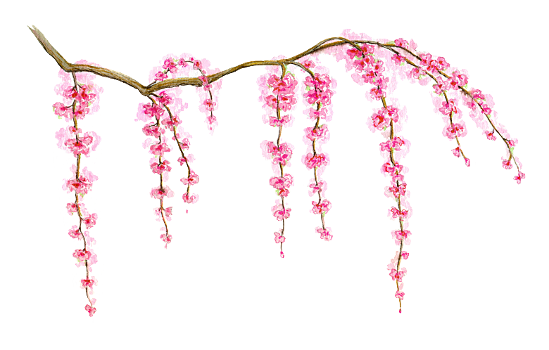 唯美小清新花卉树叶动物免扣元素